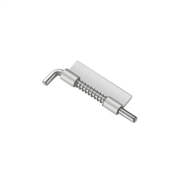Spring Door Lock Mechanism 
